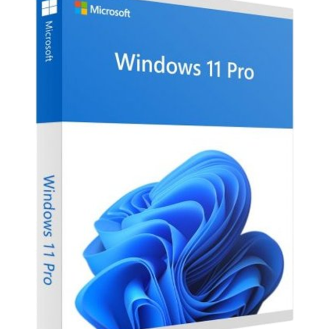 Windows 11 Pro